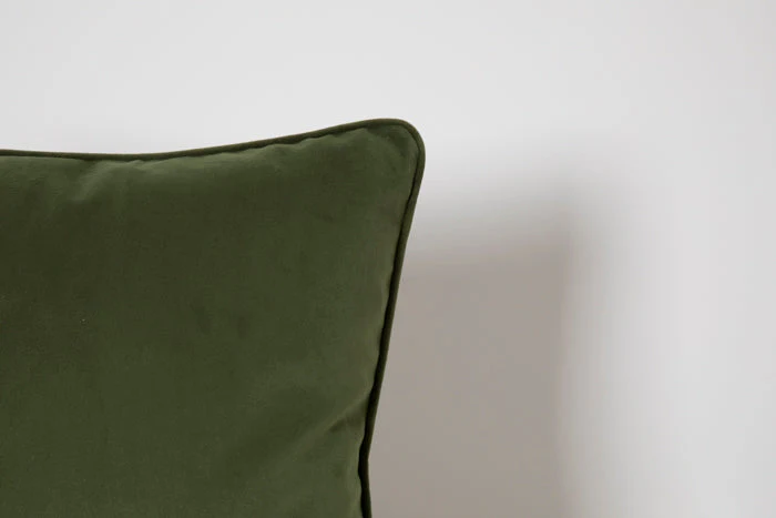 Cushion 01, Vine - Image 3